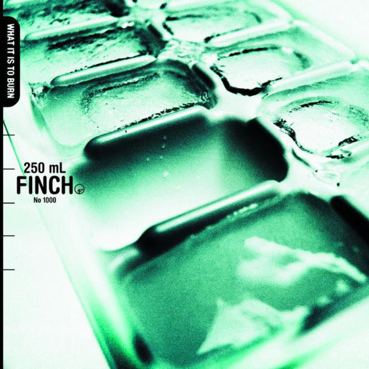 WHAT IT IS TO BURN / FINCH