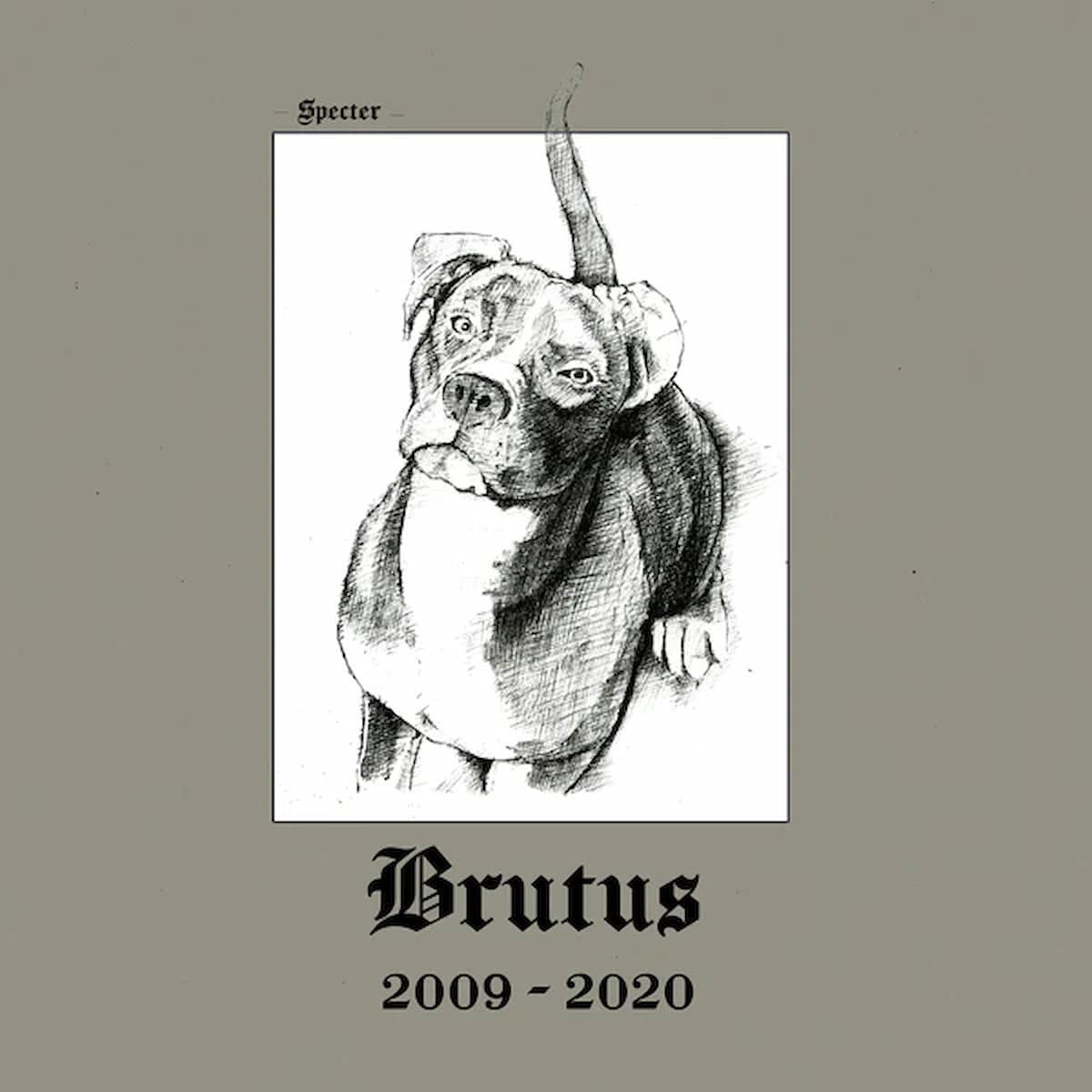 Brutus 2009-2020 / Specter