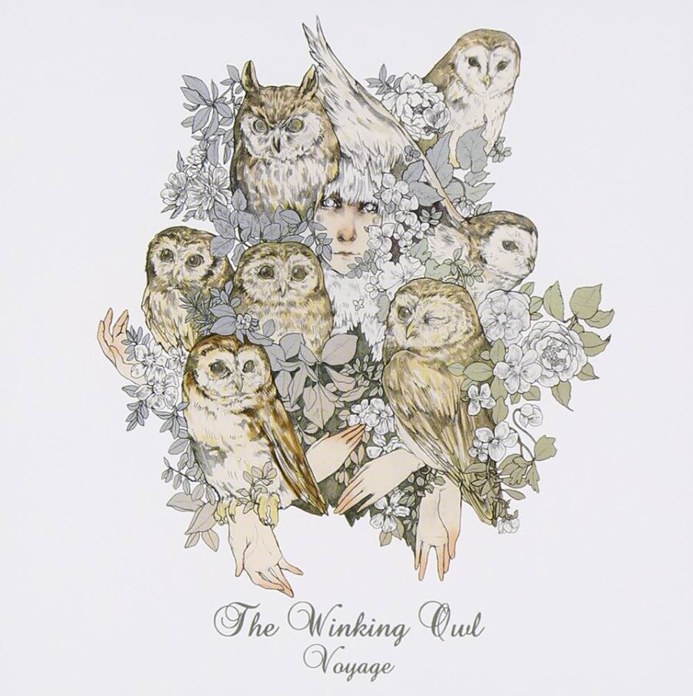 Voyage / The Winking Owl