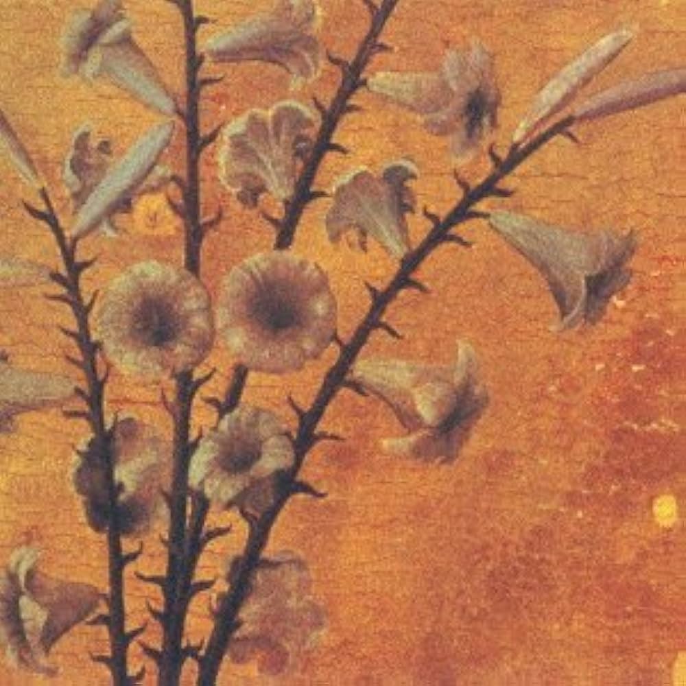 迷える百合達～Romance Of Scarlet～ / 黒夢