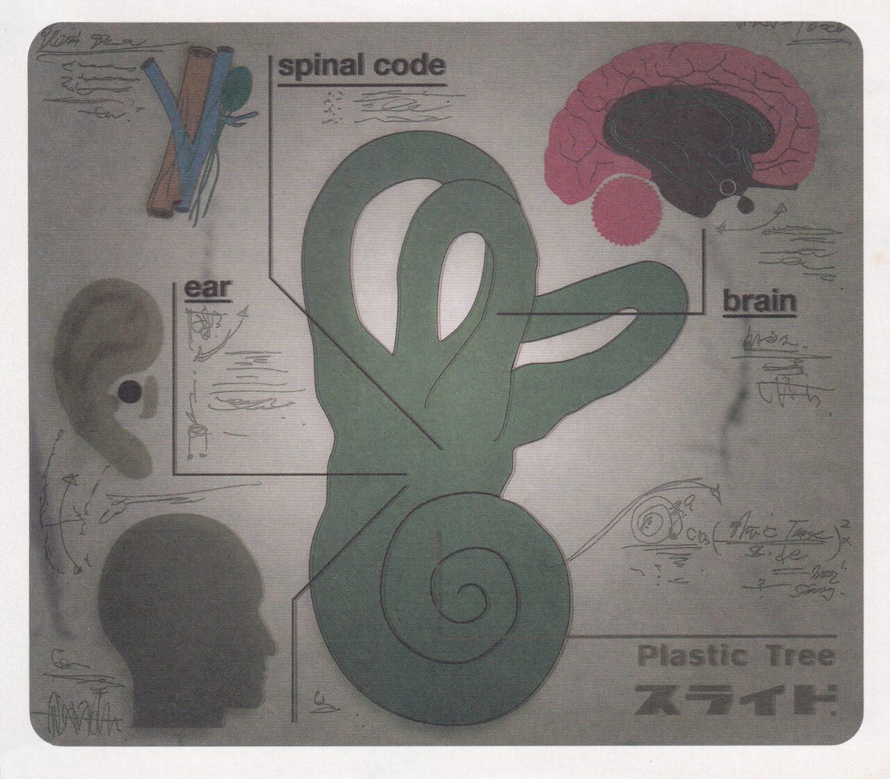 スライド. / Plastic Tree