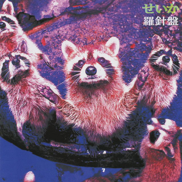 せいか / 羅針盤