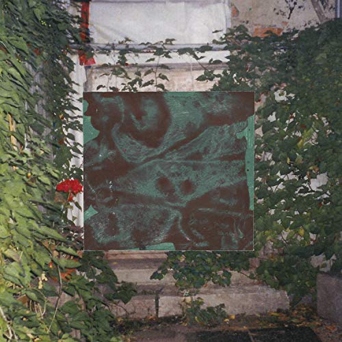 Futile / Albatros